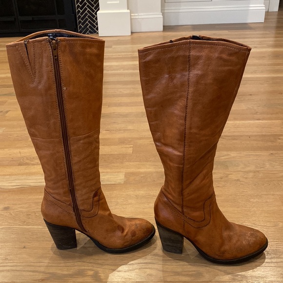 Steve Madden | Shoes | Steve Madden 